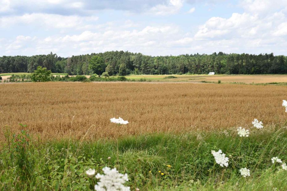 Bayern versiegelt täglich 11,6 Hektar