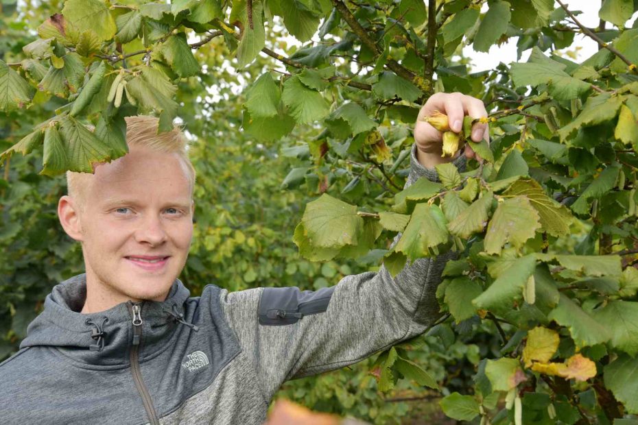 Haselnuss-Bauer Martin Stiegler ist Landwirt des Jahres